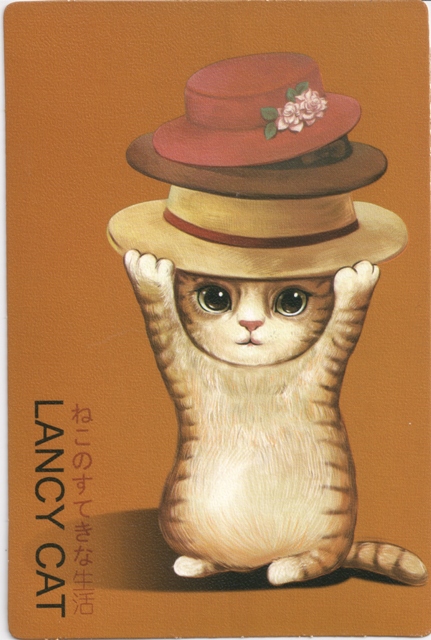 lancy-cat-1