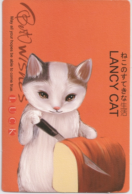 lancy-cat-5