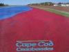 Cranberry bogs of Cape Cod, USA, a very special card and one of my favourites