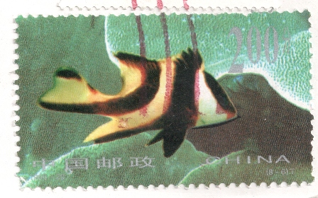 china-fish
