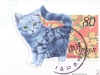 sachiko1-cat-stamp