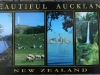 New Zealand, Auckland, alphabetical tag