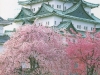 nagoya-castle-japan, from Maddy